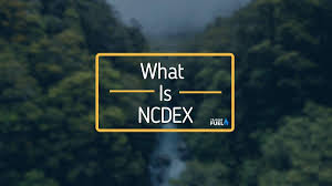 NCDEX Live 24